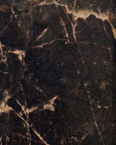 VL 503 - Empredoor Stone