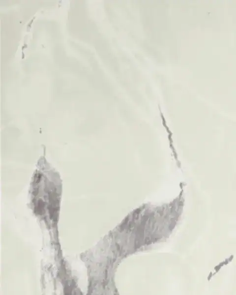 VL 575 - Satvario Cream