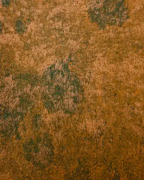 VL 7005 - Oxide Moss