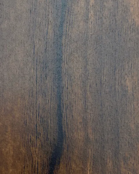 VLS 917 - AS Atlantic Walnut