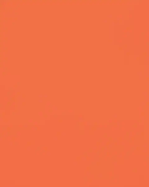 VS 399 Bright ORANGE