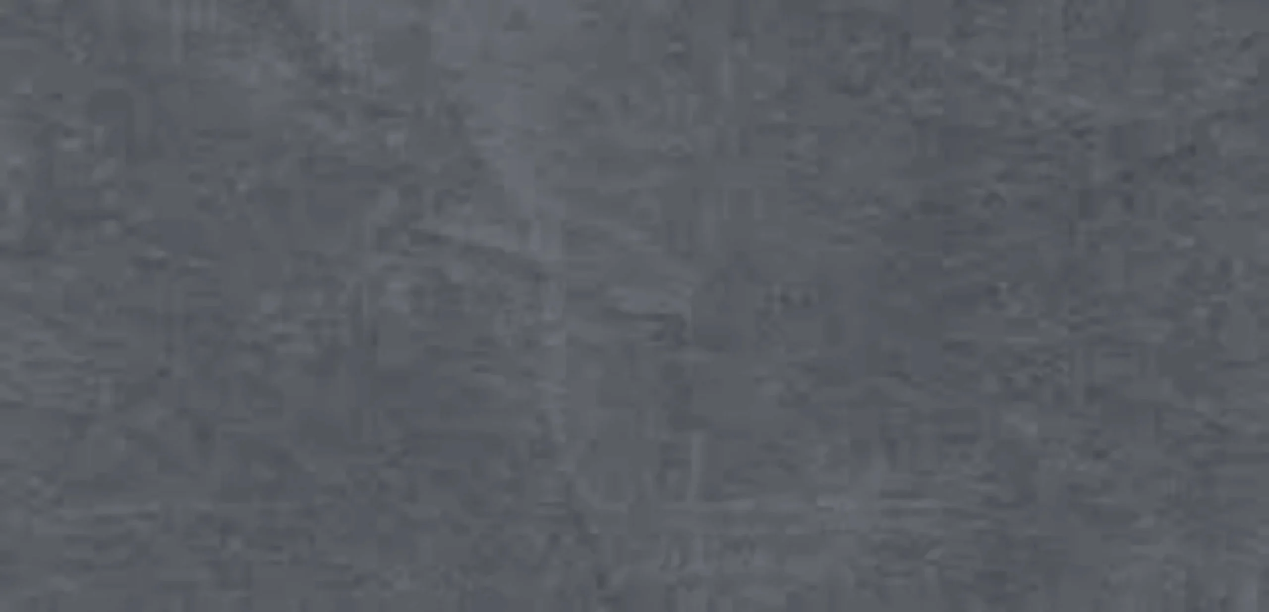 VL 12010 - Hard Steel