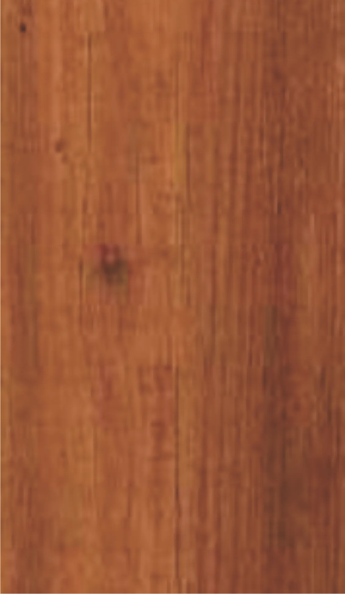 VL 911 - Chinto Pine